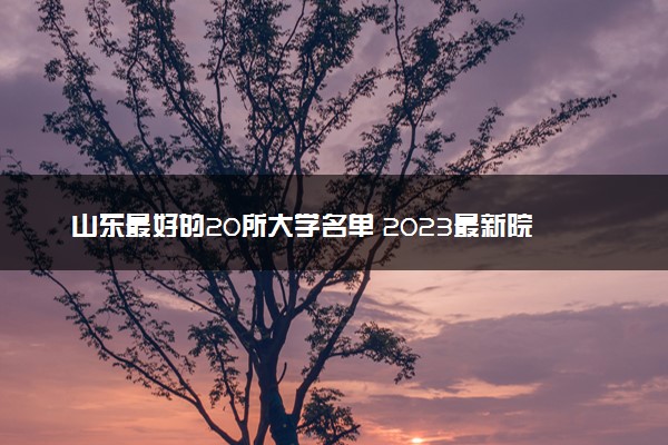 山东最好的20所大学名单 2023最新院校排名