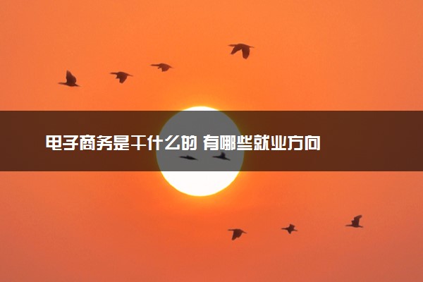 电子商务是干什么的 有哪些就业方向