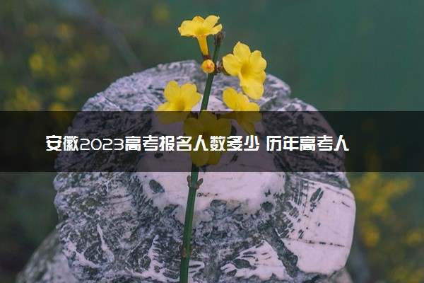 安徽2023高考报名人数多少 历年高考人数汇总