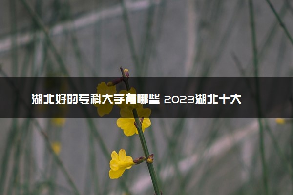 湖北好的专科大学有哪些 2023湖北十大高职专科院校排名