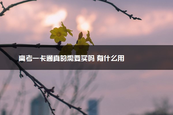 高考一卡通真的需要买吗 有什么用