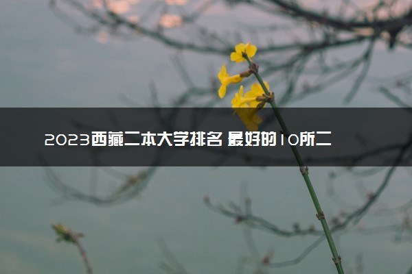 2023西藏二本大学排名 最好的10所二本院校名单