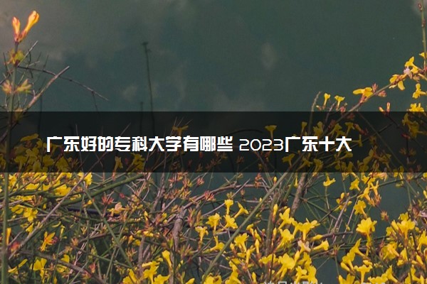 广东好的专科大学有哪些 2023广东十大高职专科院校排名