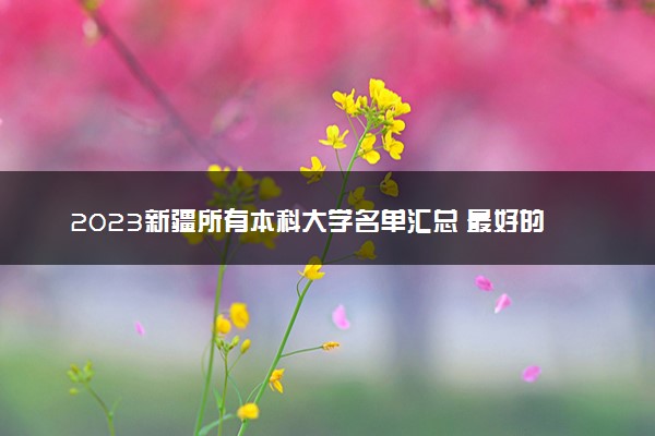 2023新疆所有本科大学名单汇总 最好的本科院校