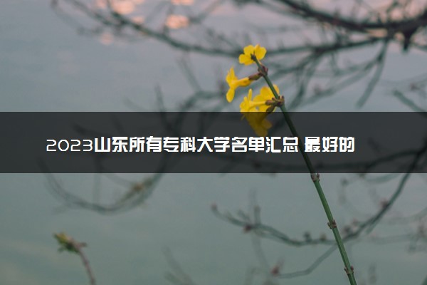 2023山东所有专科大学名单汇总 最好的高职大专院校