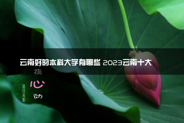 云南好的本科大学有哪些 2023云南十大本科院校排名