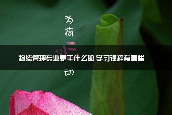 物流管理专业是干什么的 学习课程有哪些