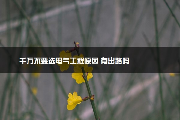 千万不要选电气工程原因 有出路吗