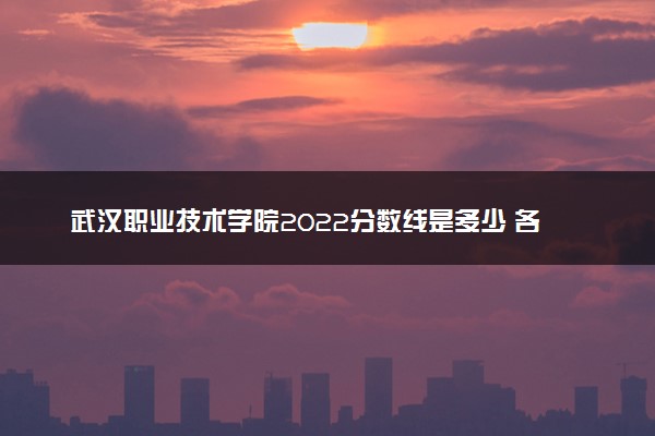 武汉职业技术学院2022分数线是多少 各省录取最低位次