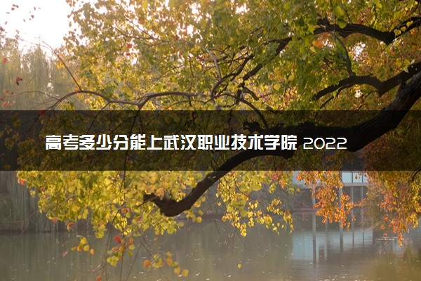 高考多少分能上武汉职业技术学院 2022录取分数线是多少