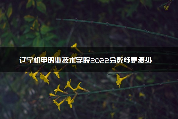 辽宁机电职业技术学院2022分数线是多少 各省录取最低位次