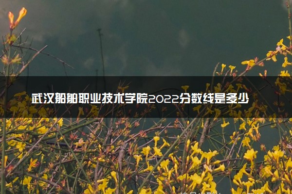 武汉船舶职业技术学院2022分数线是多少 各省录取最低位次