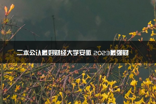 二本公认最好财经大学安徽 2023最强财经院校排名