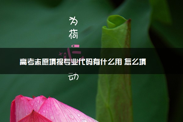 高考志愿填报专业代码有什么用 怎么填