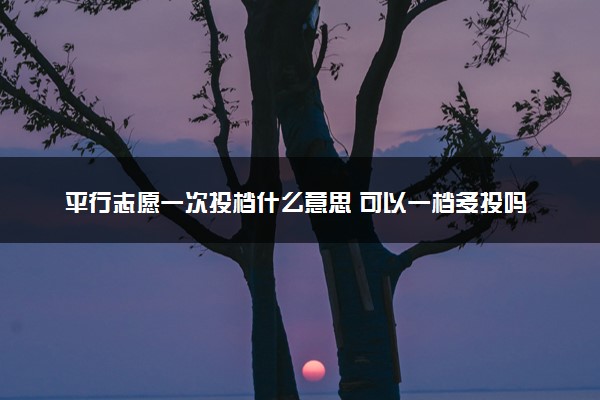 平行志愿一次投档什么意思 可以一档多投吗