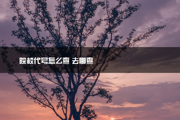 院校代号怎么查 去哪查