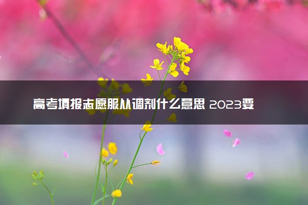 高考填报志愿服从调剂什么意思 2023要服从调剂吗