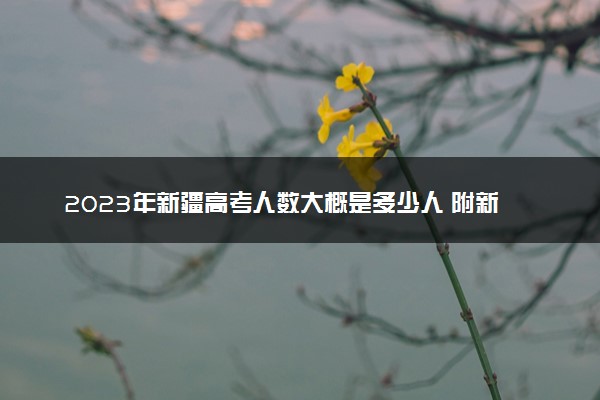 2023年新疆高考人数大概是多少人 附新疆历年高考人数