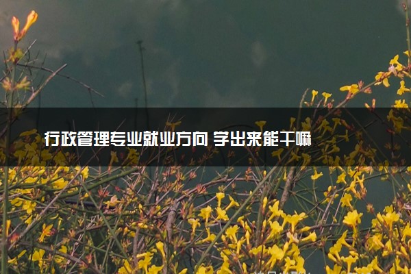 行政管理专业就业方向 学出来能干嘛