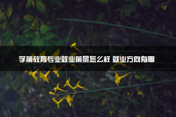 学前教育专业就业前景怎么样 就业方向有哪些