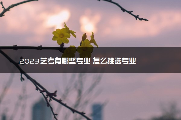 2023艺考有哪些专业 怎么挑选专业