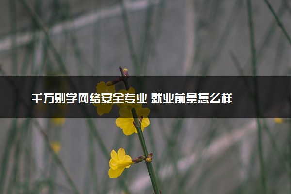 千万别学网络安全专业 就业前景怎么样