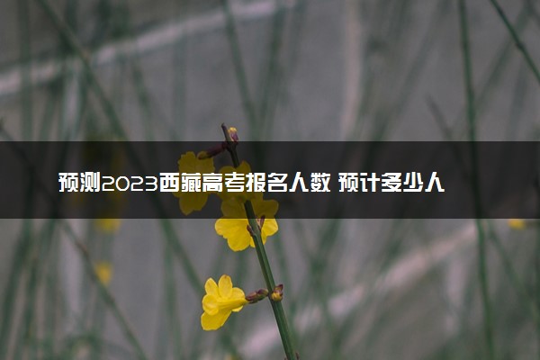 预测2023西藏高考报名人数 预计多少人参加高考