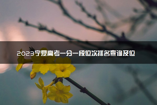 2023宁夏高考一分一段位次排名查询及位次对应大学名单