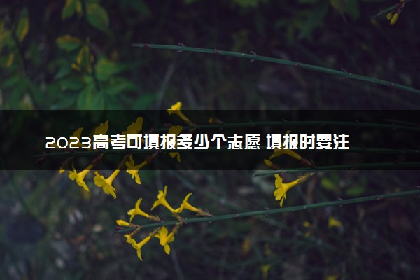 2023高考可填报多少个志愿 填报时要注意什么