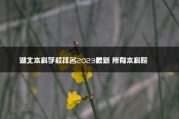 湖北本科学校排名2023最新 所有本科院校名单