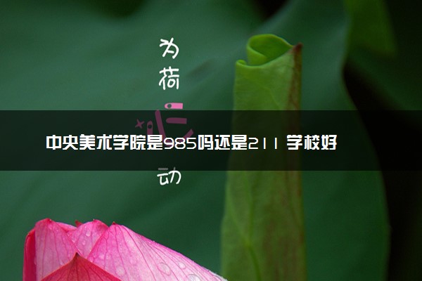 中央美术学院是985吗还是211 学校好不好