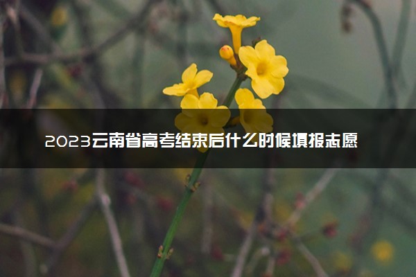 2023云南省高考结束后什么时候填报志愿 考试后多少天