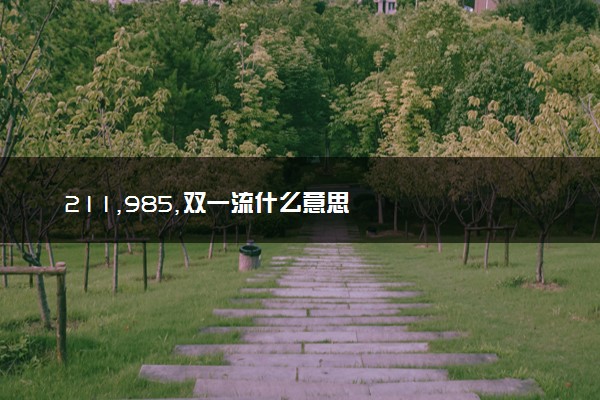 211,985,双一流什么意思