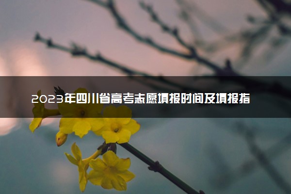 2023年四川省高考志愿填报时间及填报指南