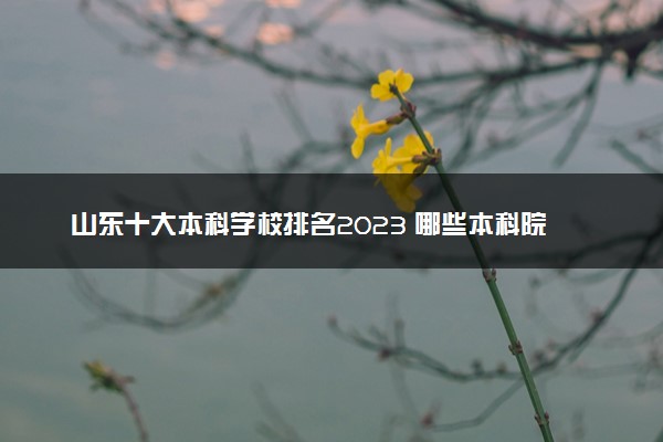 山东十大本科学校排名2023 哪些本科院校好