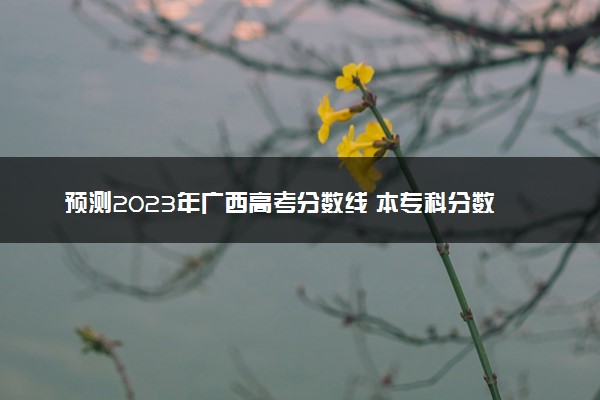 预测2023年广西高考分数线 本专科分数线预计多少