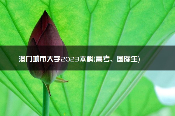 澳门城市大学2023本科（高考、国际生）申请