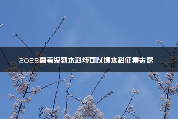 2023高考没到本科线可以填本科征集志愿吗 还能上本科吗