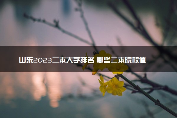 山东2023二本大学排名 哪些二本院校值得上