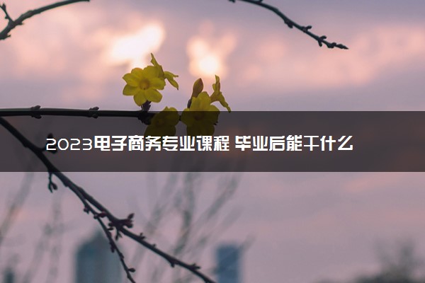 2023电子商务专业课程 毕业后能干什么