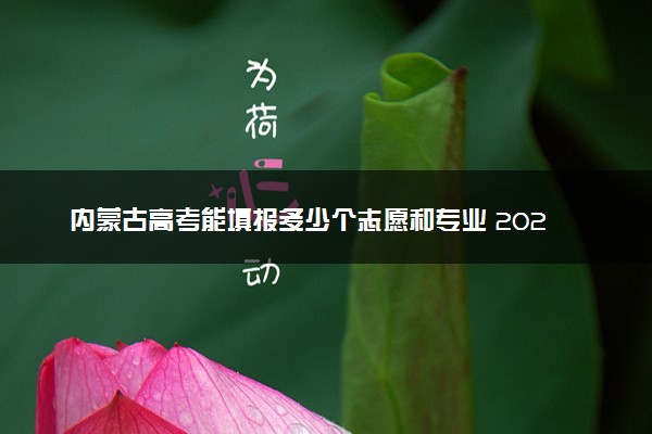 内蒙古高考能填报多少个志愿和专业 2023本专科志愿设置