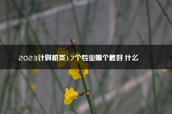 2023计算机类17个专业哪个最好 什么专业前景好