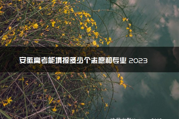 安徽高考能填报多少个志愿和专业 2023本专科志愿设置