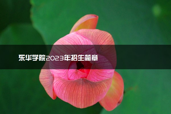 东华学院2023年招生简章