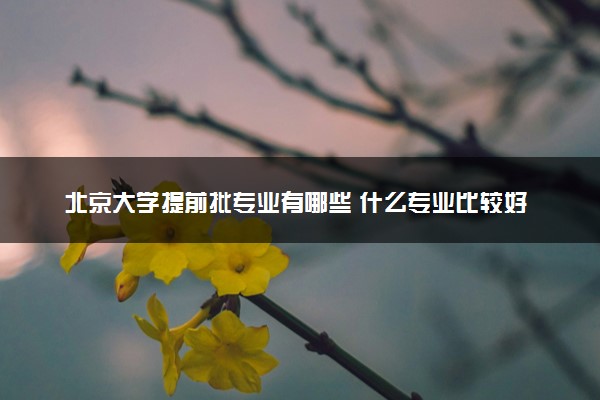 北京大学提前批专业有哪些 什么专业比较好