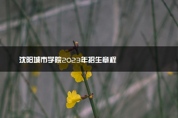 沈阳城市学院2023年招生章程