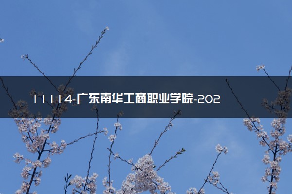 11114-广东南华工商职业学院-2023年夏季高考招生章程