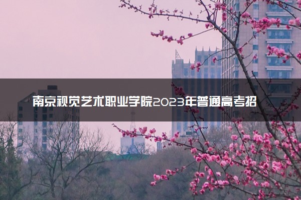 南京视觉艺术职业学院2023年普通高考招生章程