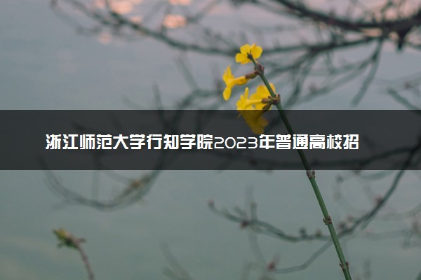 浙江师范大学行知学院2023年普通高校招生章程