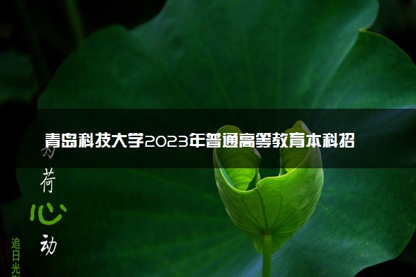 青岛科技大学2023年普通高等教育本科招生章程